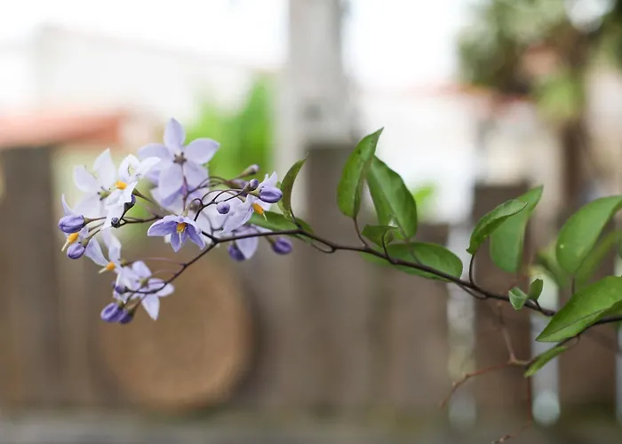 Holiday home L'airial - Maison Idealement Situee Entre Commerces Et *